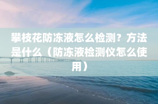 攀枝花防冻液怎么检测？方法是什么（防冻液检测仪怎么使用）