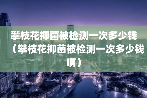 攀枝花抑菌被检测一次多少钱（攀枝花抑菌被检测一次多少钱啊）