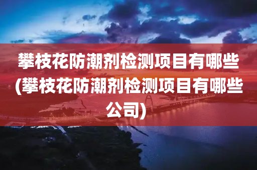 攀枝花防潮剂检测项目有哪些(攀枝花防潮剂检测项目有哪些公司) 