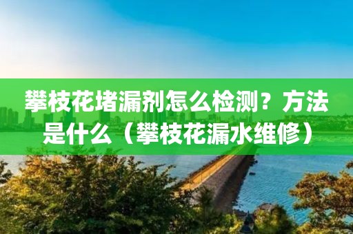 攀枝花堵漏剂怎么检测？方法是什么（攀枝花漏水维修）